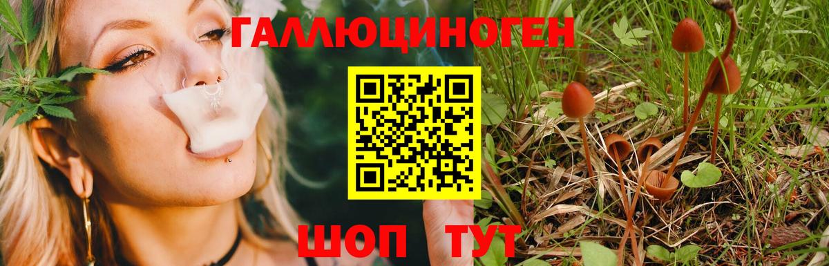 Галлюциногенные грибы Cubensis Кинешма